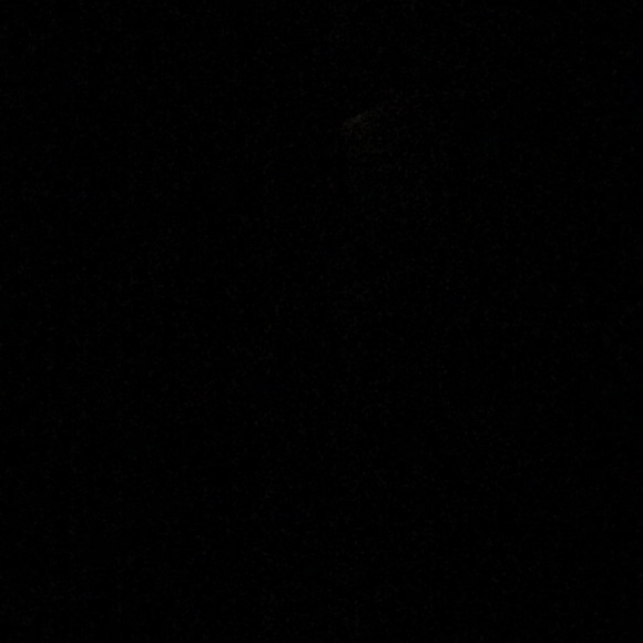 Meet your Posher, Mary - Picture 1 of 1